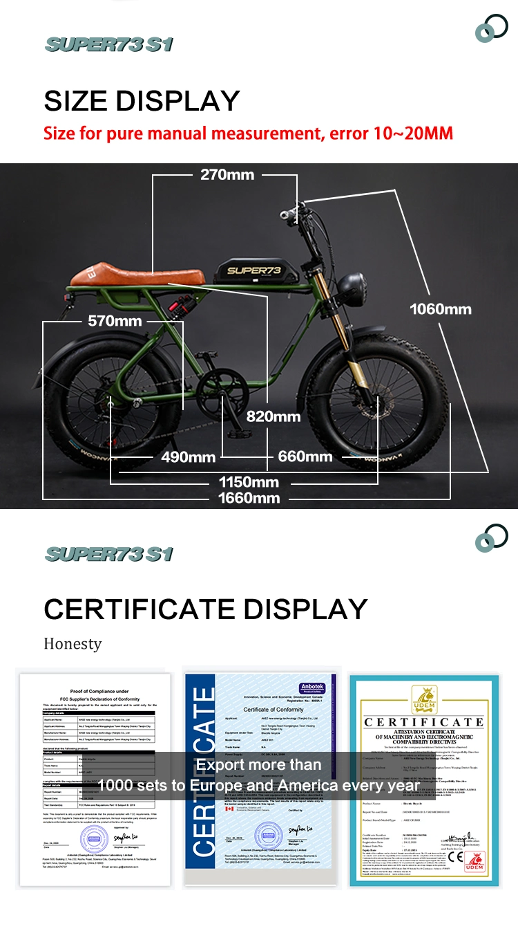 48V 750W 20 Inch 4.0 Fat Tyre Fat Tire Moped Ebike with Pedal Snow Beach Electric Bicycle Bike