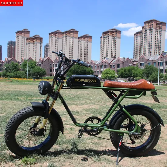 48 В 750 Вт 20 Zoll 4.0 Fat Tire Fat Tire Мопед Ebike с педалью Snow Beach Elektrofahrrad